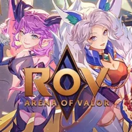 บริการรับจ้าง เล่น rov เป็นเพื่อน